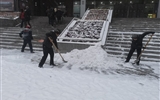 以雪為令——后勤保障處全力保障道路安全通行