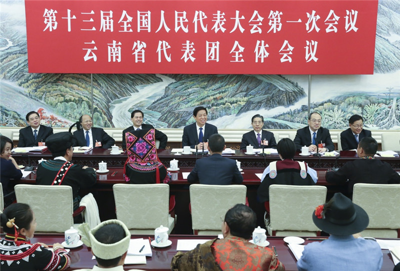 3月10日，中共中央政治局常委栗戰(zhàn)書參加十三屆全國人大一次會(huì)議云南代表團(tuán)的審議。