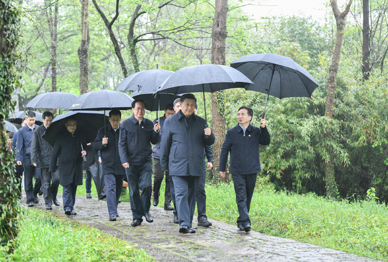 3月29日至4月1日，中共中央總書記、國家主席、中央軍委主席習近平在浙江考察。這是3月31日，習近平在杭州西溪國家濕地公園察看濕地保護利用情況。