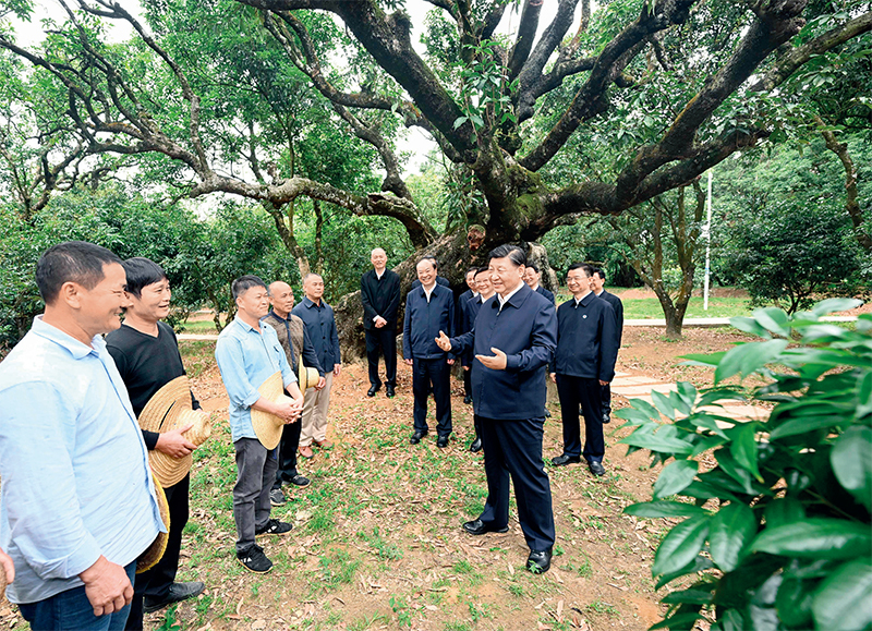 2023年4月10日至13日，中共中央總書記、國家主席、中央軍委主席習(xí)近平在廣東考察。這是11日下午，習(xí)近平在茂名高州市根子鎮(zhèn)柏橋村荔枝種植園，同現(xiàn)場技術(shù)人員親切交流。